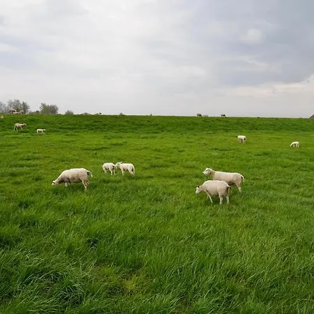 דירה Meerzeit-hooksiel *