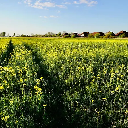 Meerzeit-hooksiel Hooksiel
