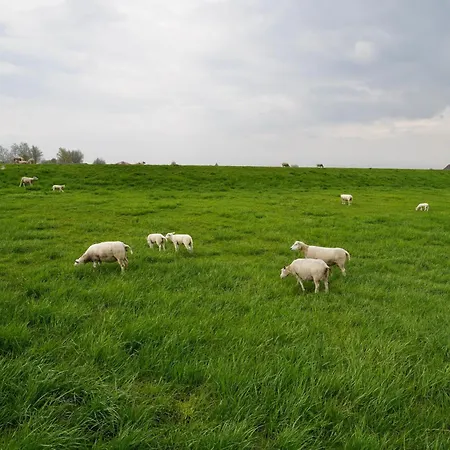 Apartmán Meerzeit-hooksiel Hooksiel