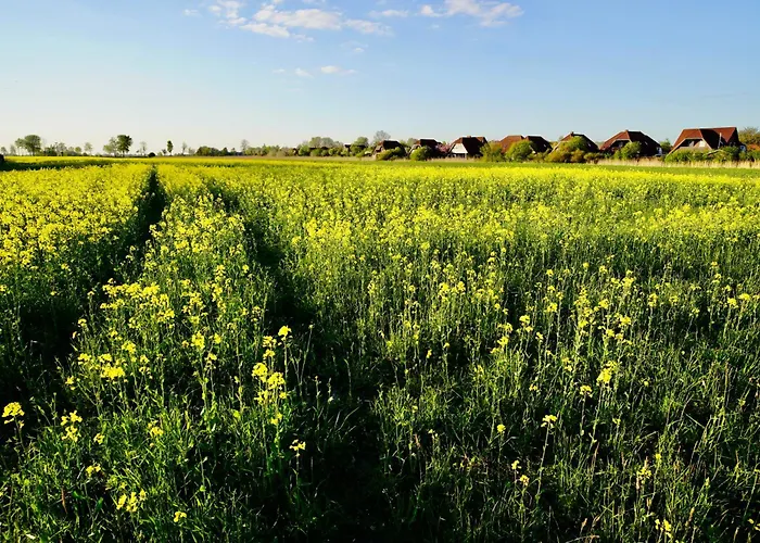 Meerzeit-hooksiel Hooksiel