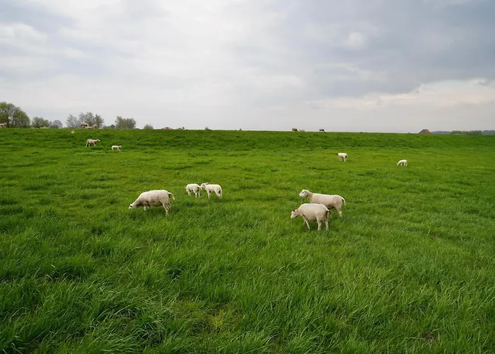 Lejlighed Meerzeit-hooksiel Hooksiel